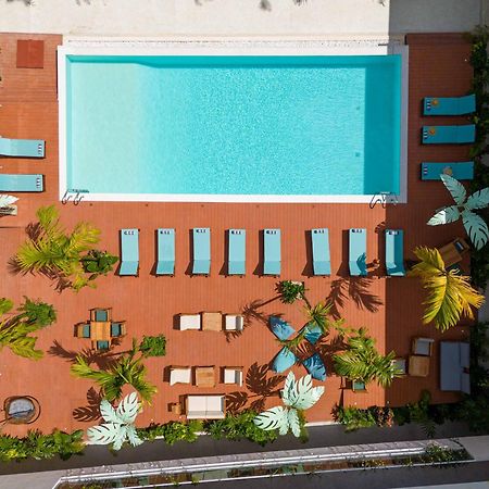 Hotel Samawa Living Paje Exterior foto